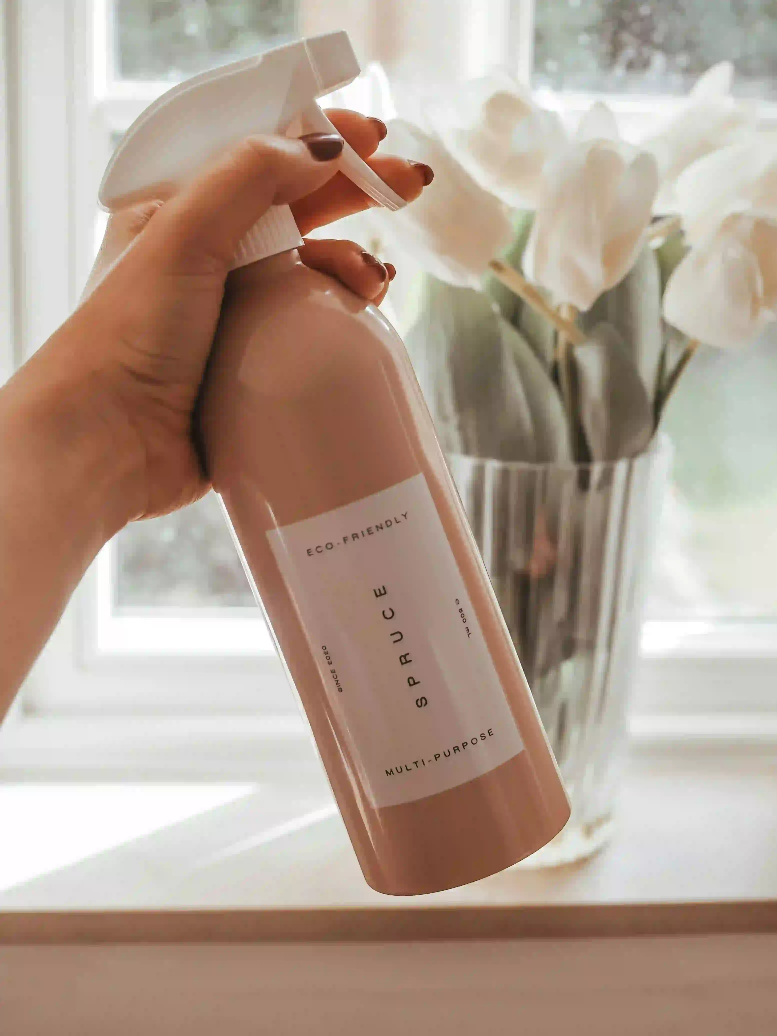 Eco-friendly commercial cleaning products - green cleaning Boston