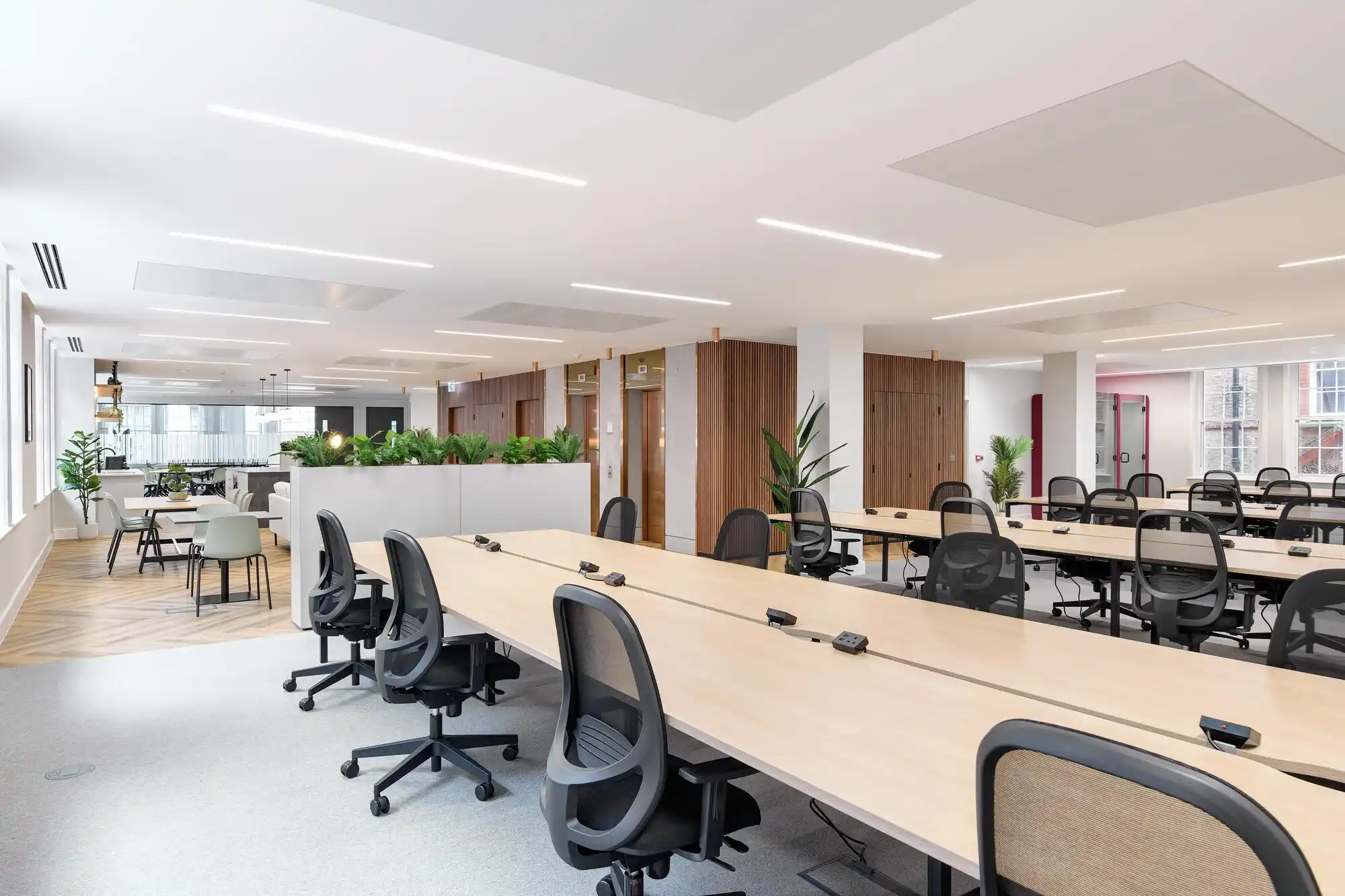 Professional single-tenant office cleaning services in Boston